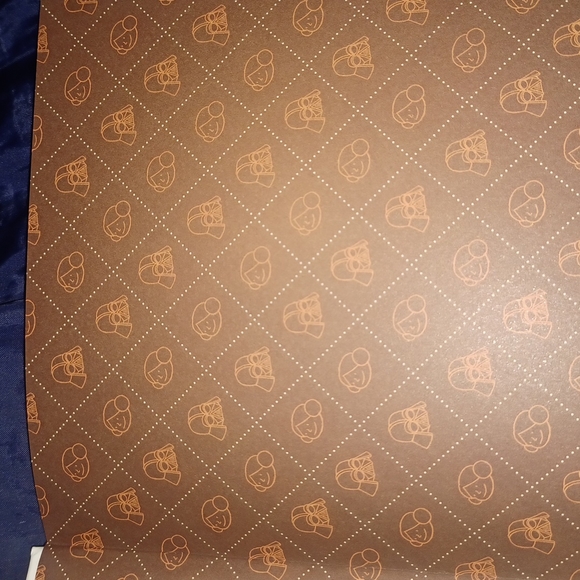 Starwar's Vader's Little Princess - Picture 2 of 8